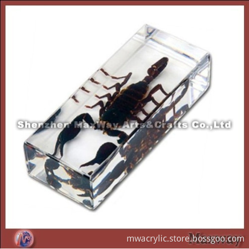 Transparent Rectangle Polished Acryl/Perspex Trophy/Paperweight/Pressie with a Scorpion in It